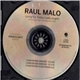 Raul Malo - Living For Today